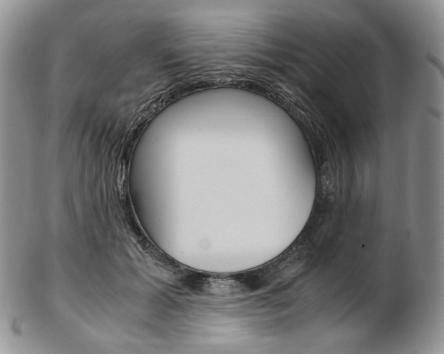 X0000103130605200808221043
