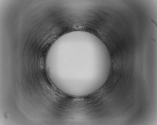 X0000103130606200808221043