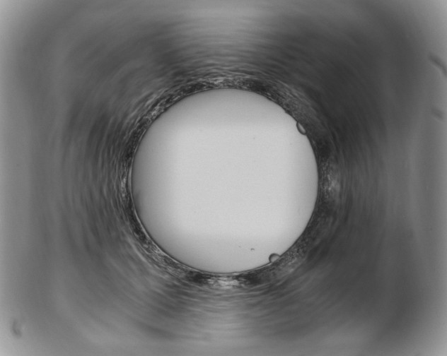 X0000103130607200808221043