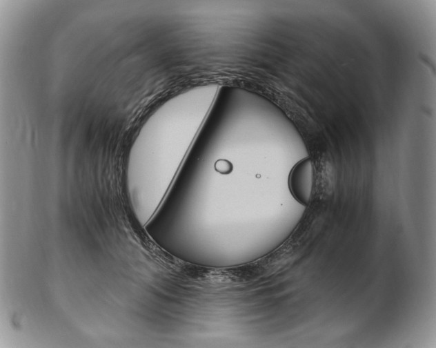 X0000103130608200808221043