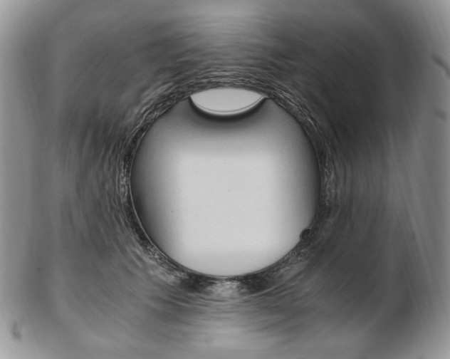 X0000103130609200808221043