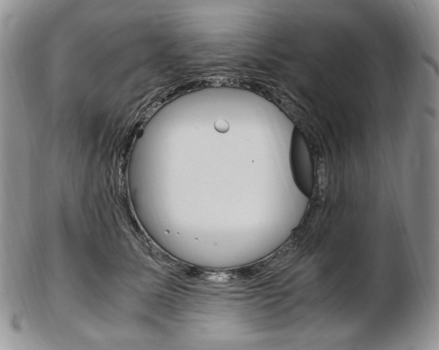 X0000103130611200808221043