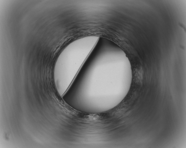X0000103130612200808221043