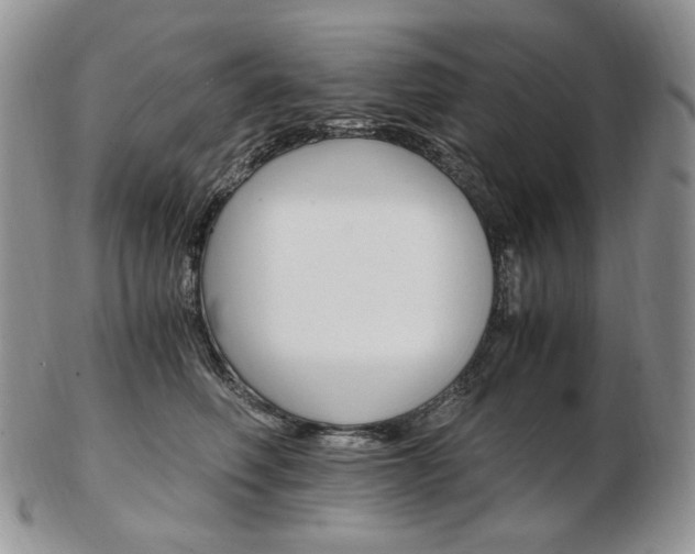 X0000103130614200808221043