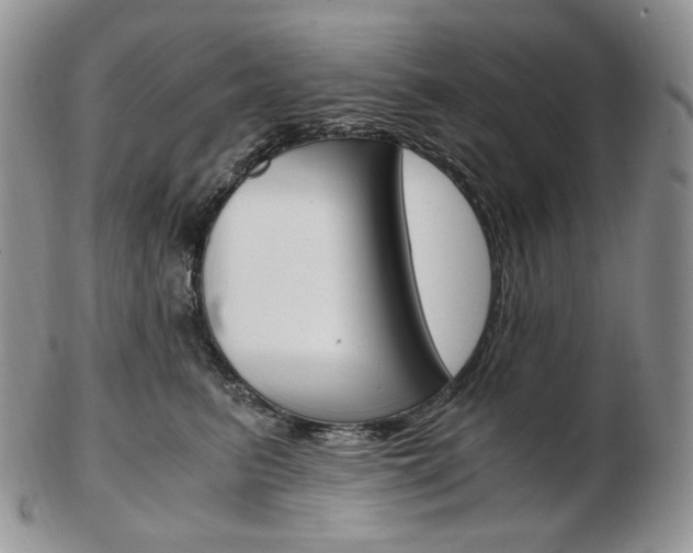X0000103130615200808221043