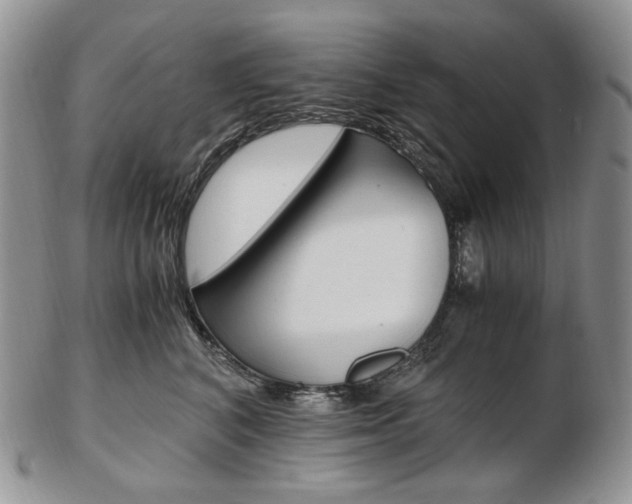 X0000103130616200808221043