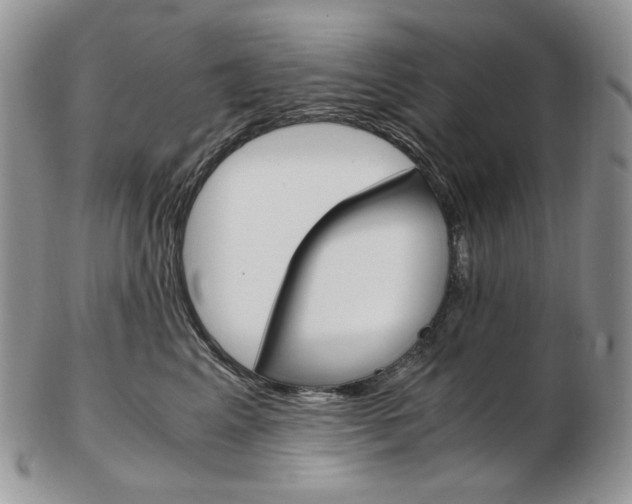 X0000103130617200808221043