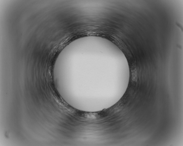 X0000103130618200808221043