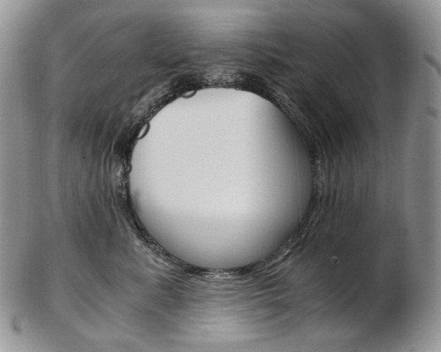 X0000103130619200808221043