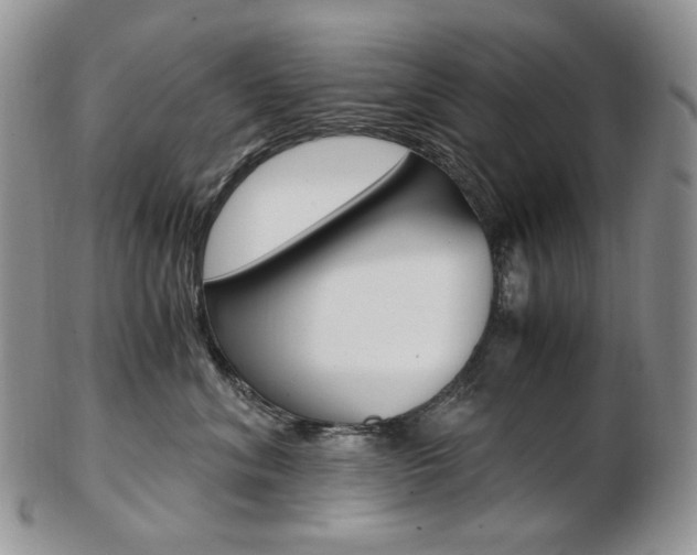 X0000103130620200808221043