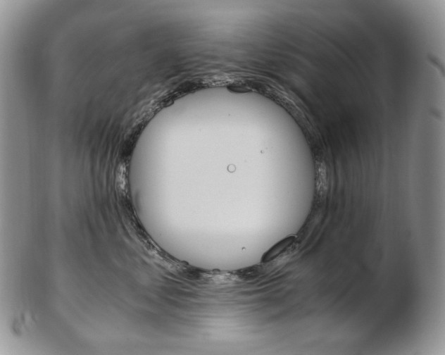 X0000103130621200808221043