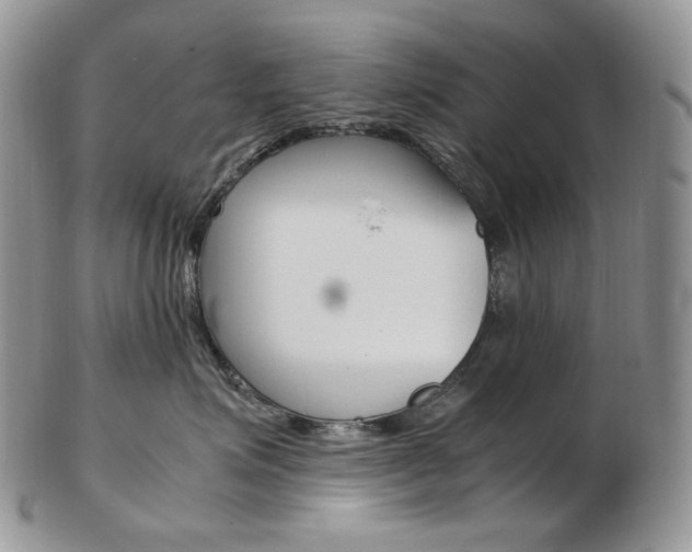 X0000103130623200808221043
