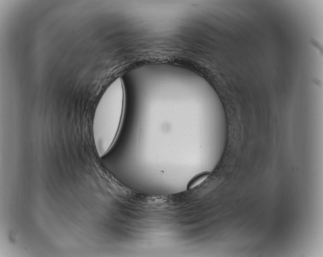 X0000103130624200808221043