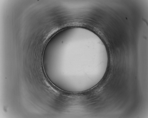 X0000103130625200808221042