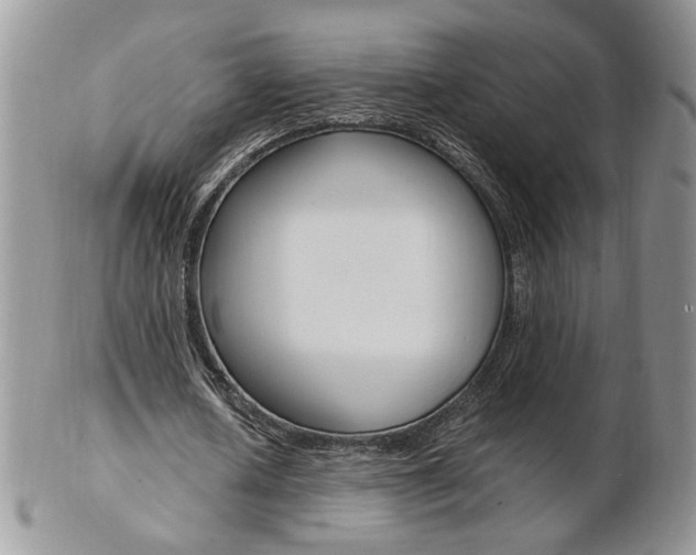 X0000103130626200808221042