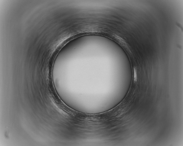 X0000103130627200808221042