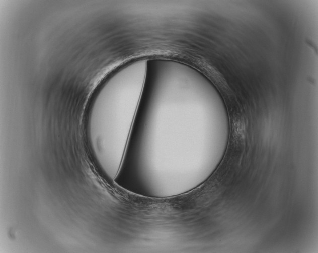 X0000103130628200808221042
