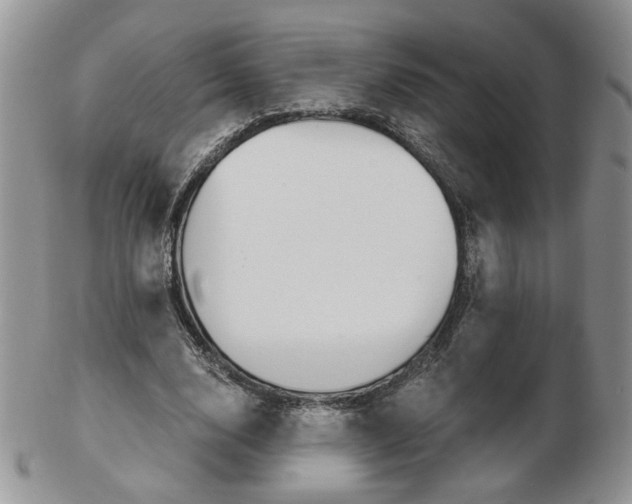X0000103130632200808221042