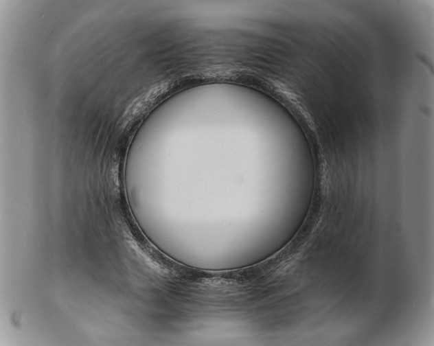 X0000103130633200808221042