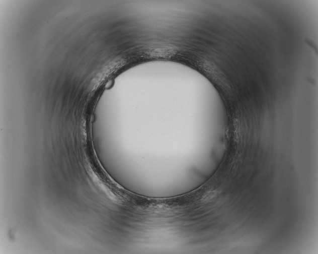 X0000103130634200808221042