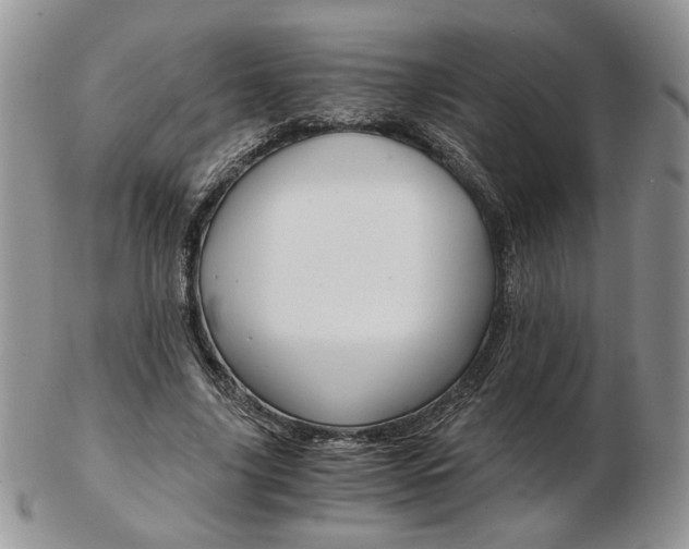 X0000103130635200808221042