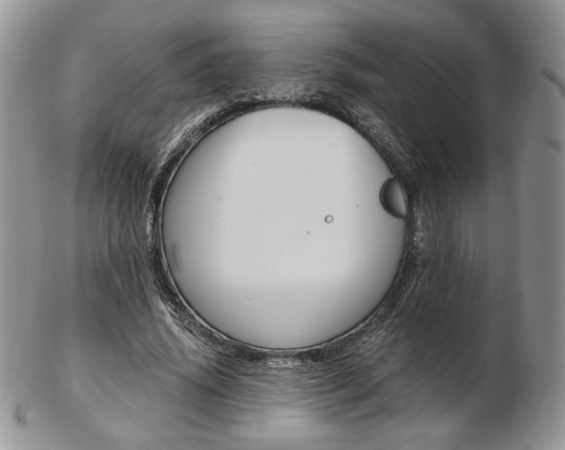 X0000103130636200808221042