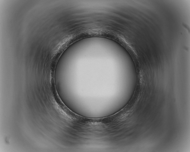 X0000103130637200808221042