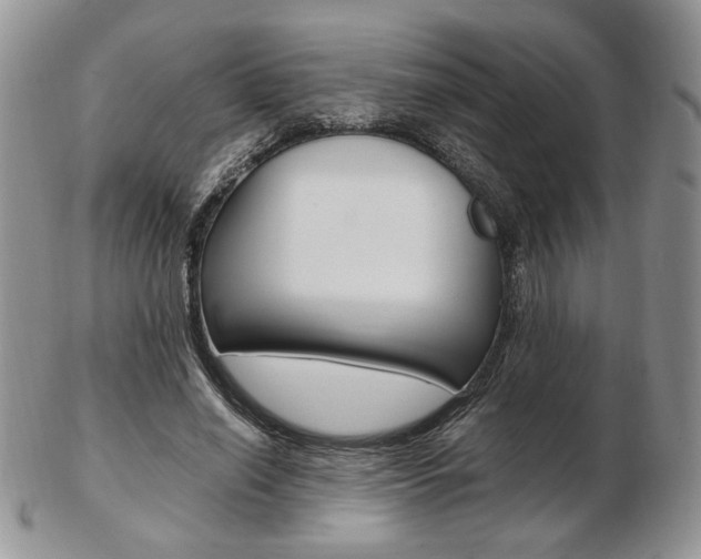 X0000103130638200808221042