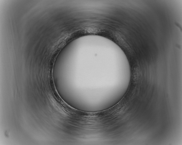 X0000103130639200808221042