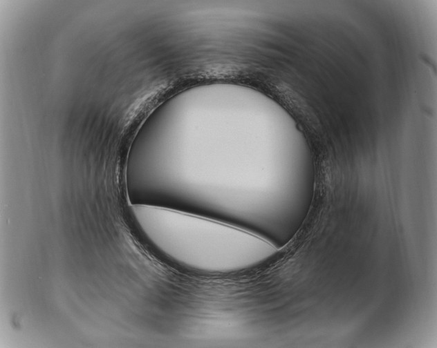X0000103130640200808221042