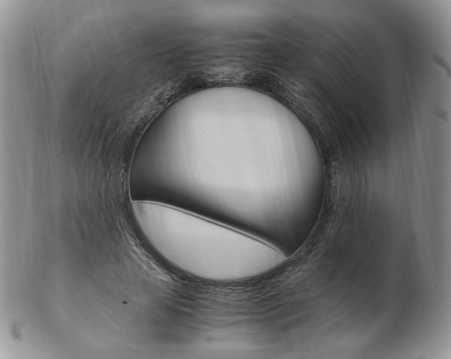 X0000103130641200808221042