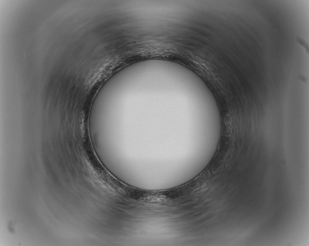 X0000103130642200808221042