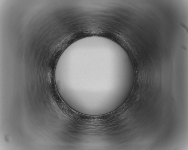 X0000103130643200808221042