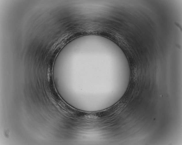 X0000103130644200808221042