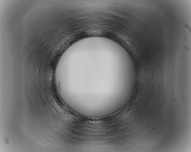 X0000103130645200808221042