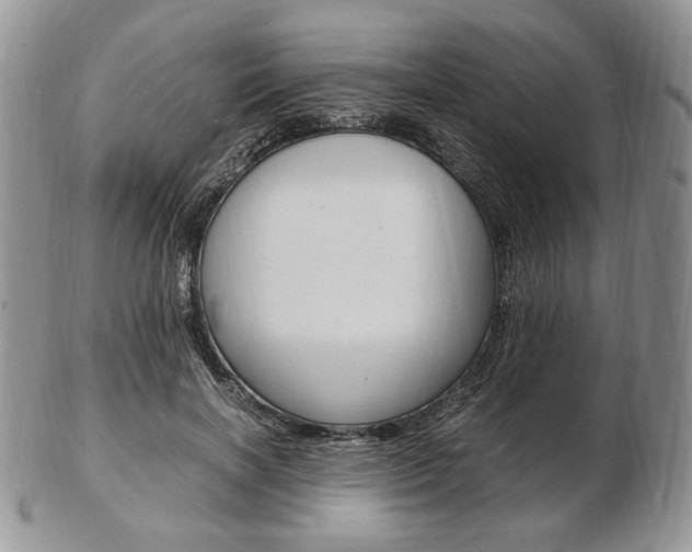 X0000103130646200808221043