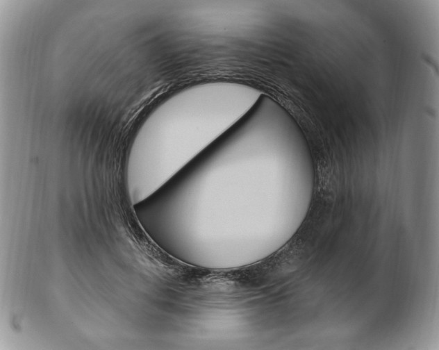 X0000103130648200808221043