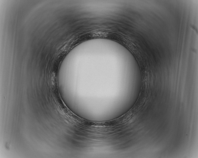 X0000103130649200808221043