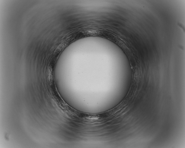 X0000103130651200808221043