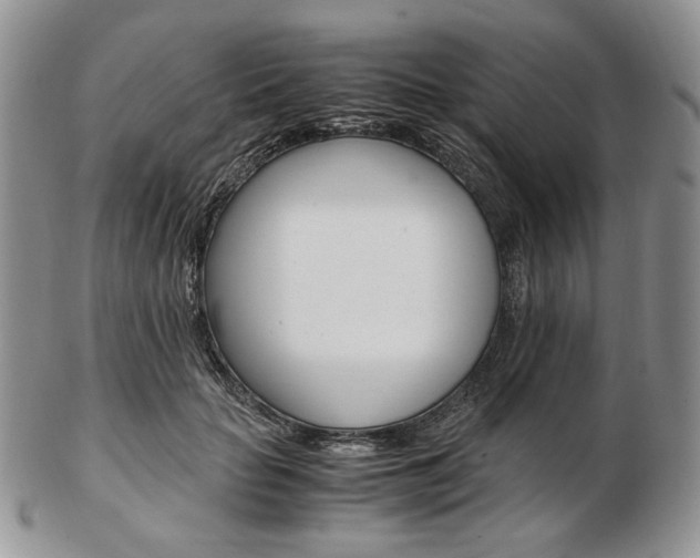 X0000103130653200808221043