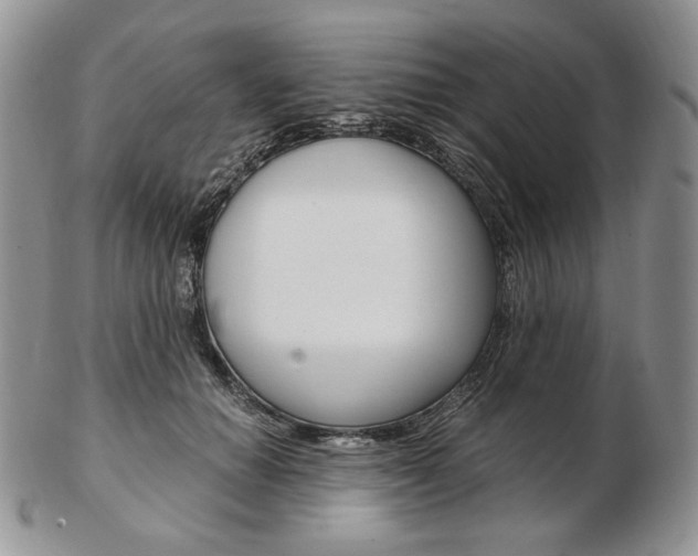 X0000103130654200808221043