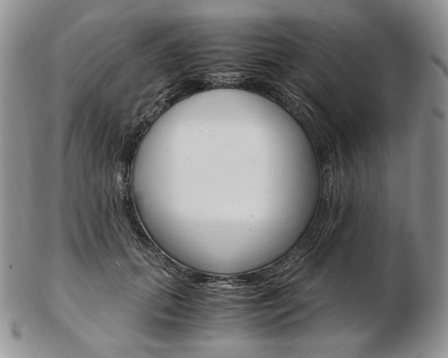 X0000103130655200808221043