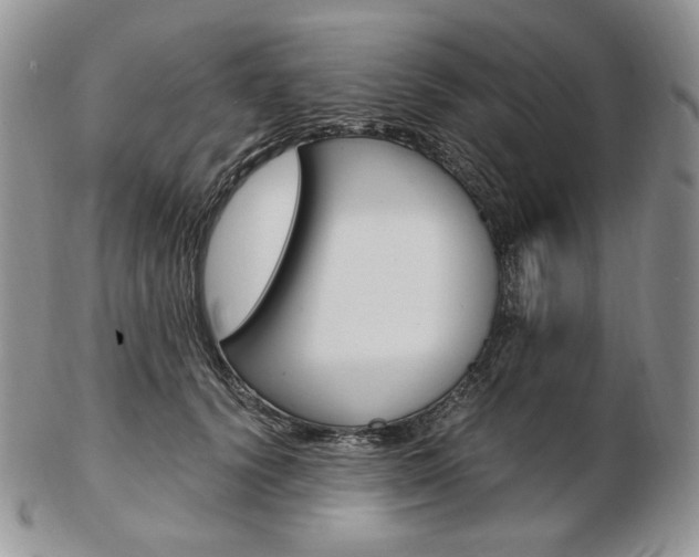 X0000103130656200808221043