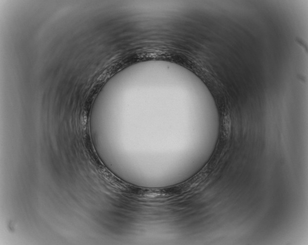 X0000103130657200808221043