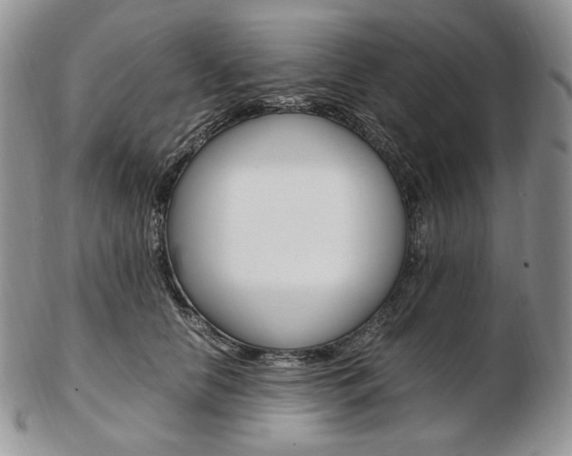 X0000103130658200808221043