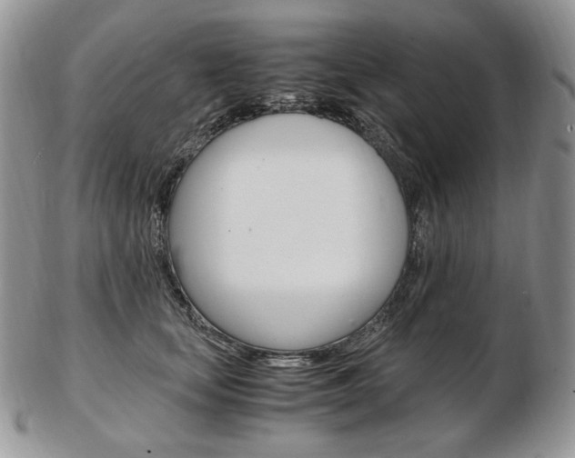 X0000103130659200808221043