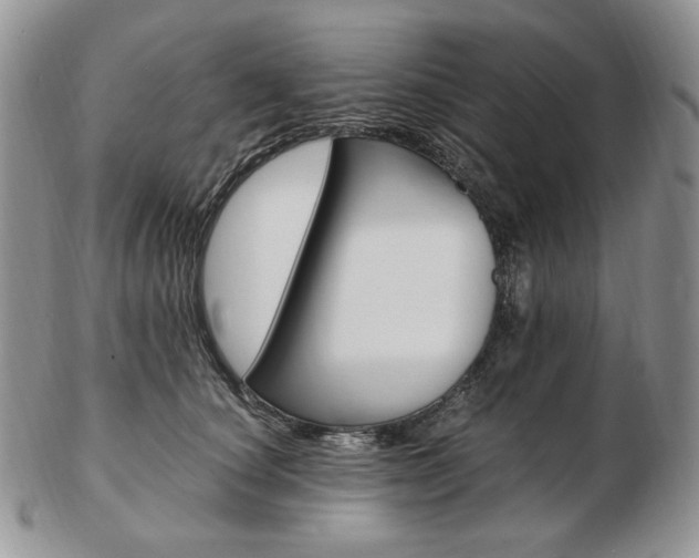 X0000103130660200808221043
