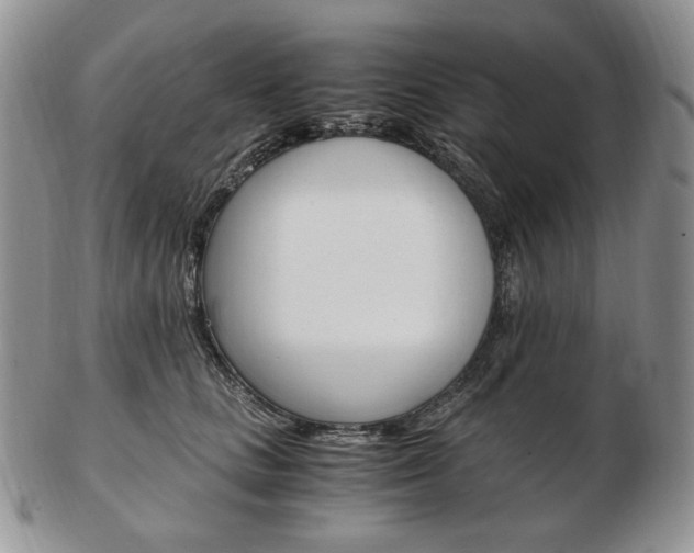 X0000103130661200808221043