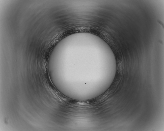 X0000103130662200808221043