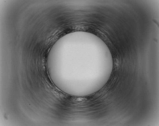 X0000103130663200808221043